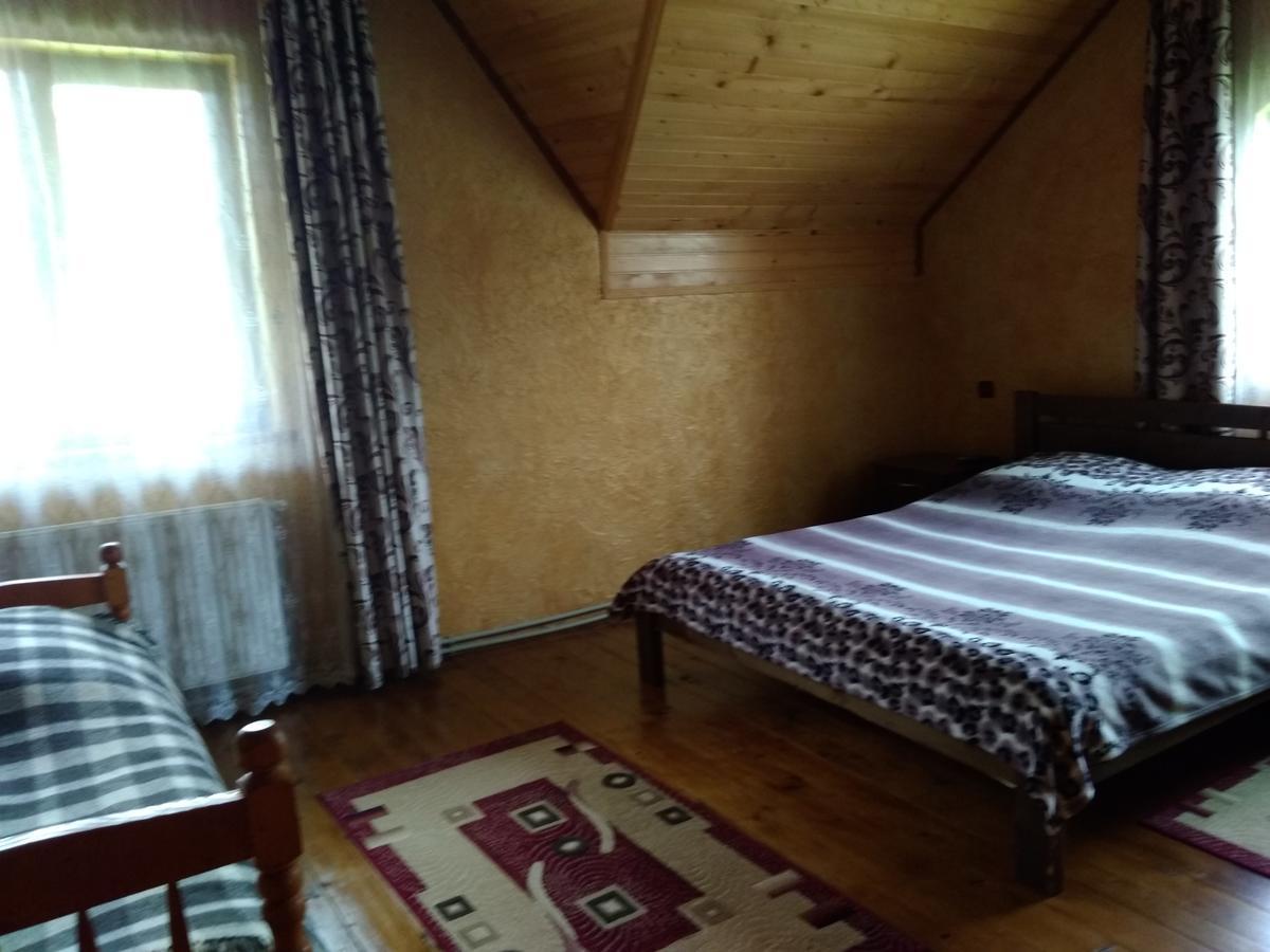 亚列姆切Затишок В Карпатах别墅 外观 照片